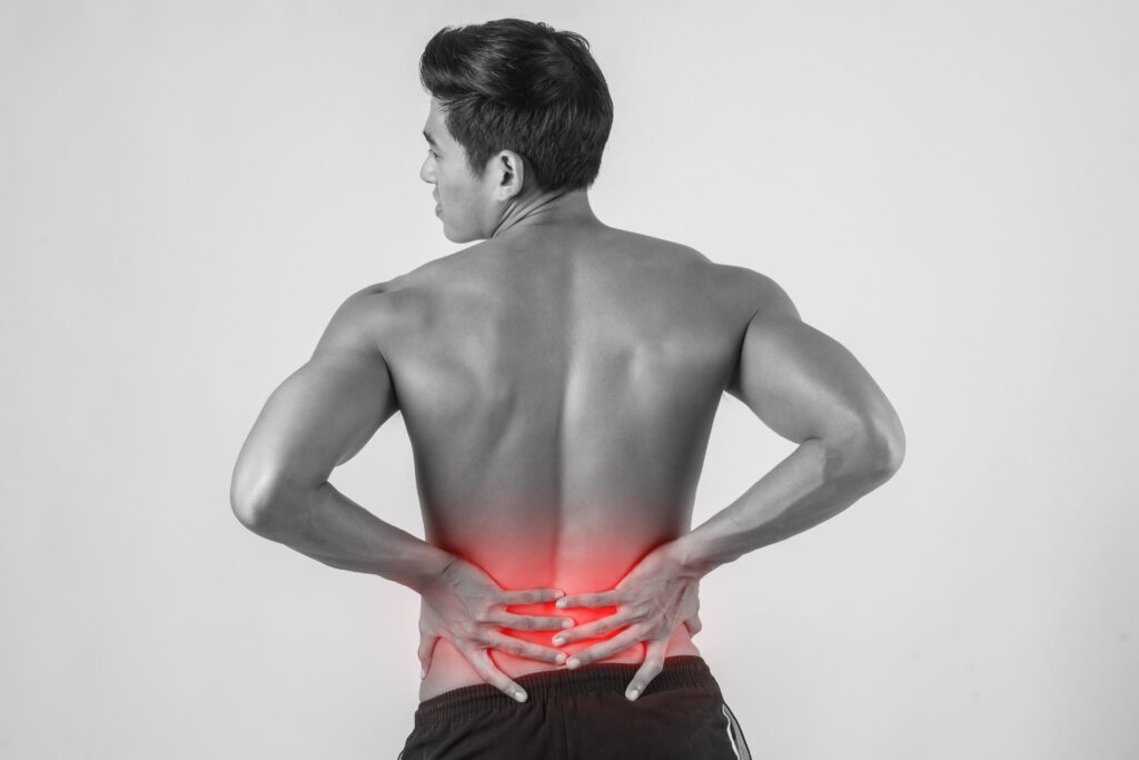 Physiotherapy Exercises For Lower Back Pain
